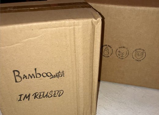 Why We Ship Plastic-Free - Bamboo Switch