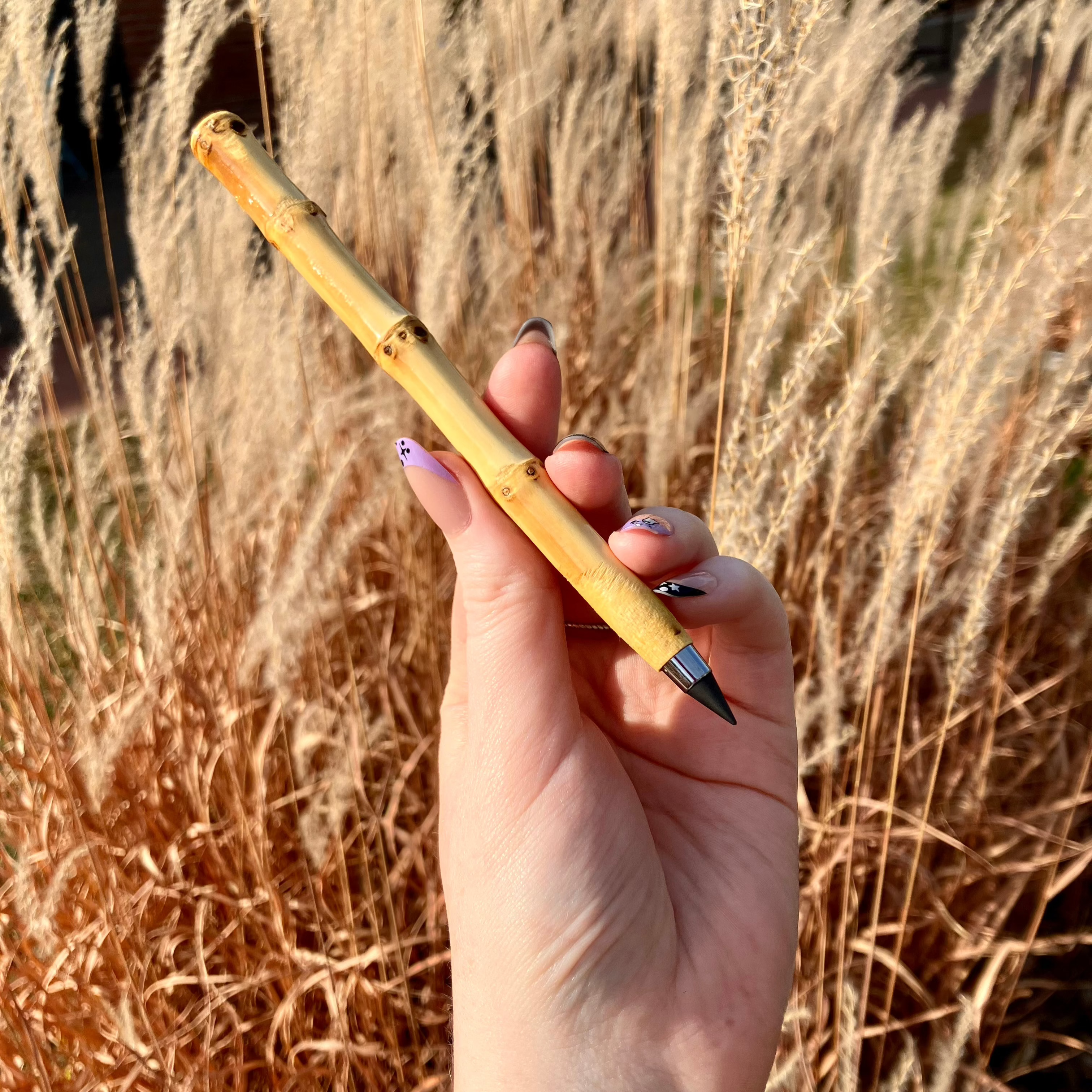 Bamboo Root Pencil | Never Ending - Bamboo Switch