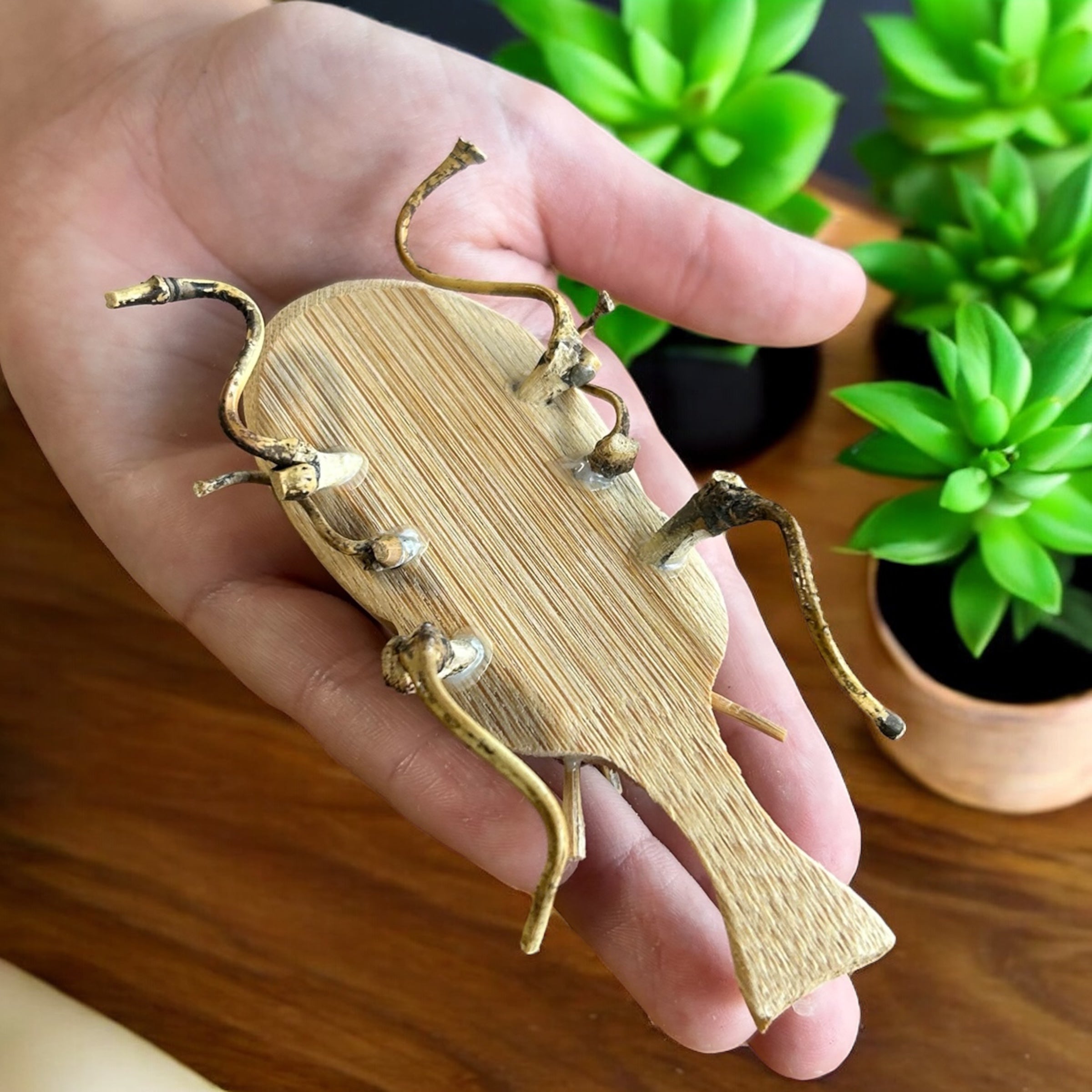 Bamboo Beetle Toy - Bamboo Switch