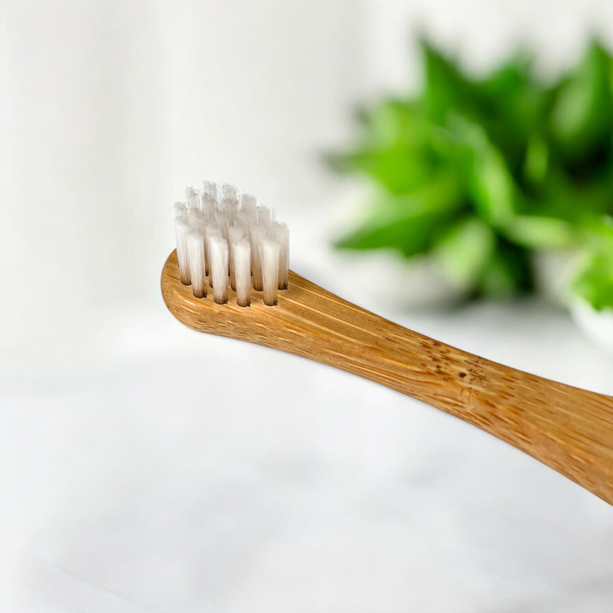 Bamboo Cat Toothbrush - Bamboo Switch