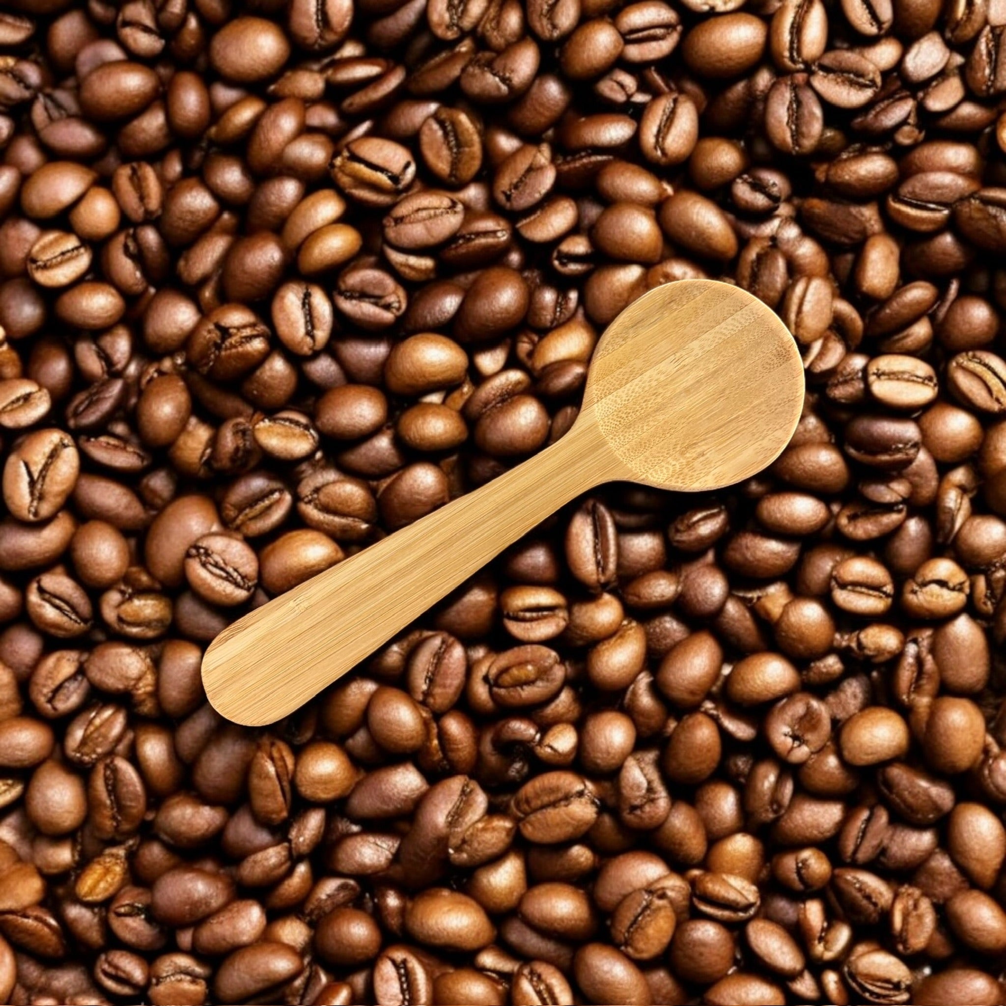 Bamboo Coffee Clip Spoon - Bamboo Switch