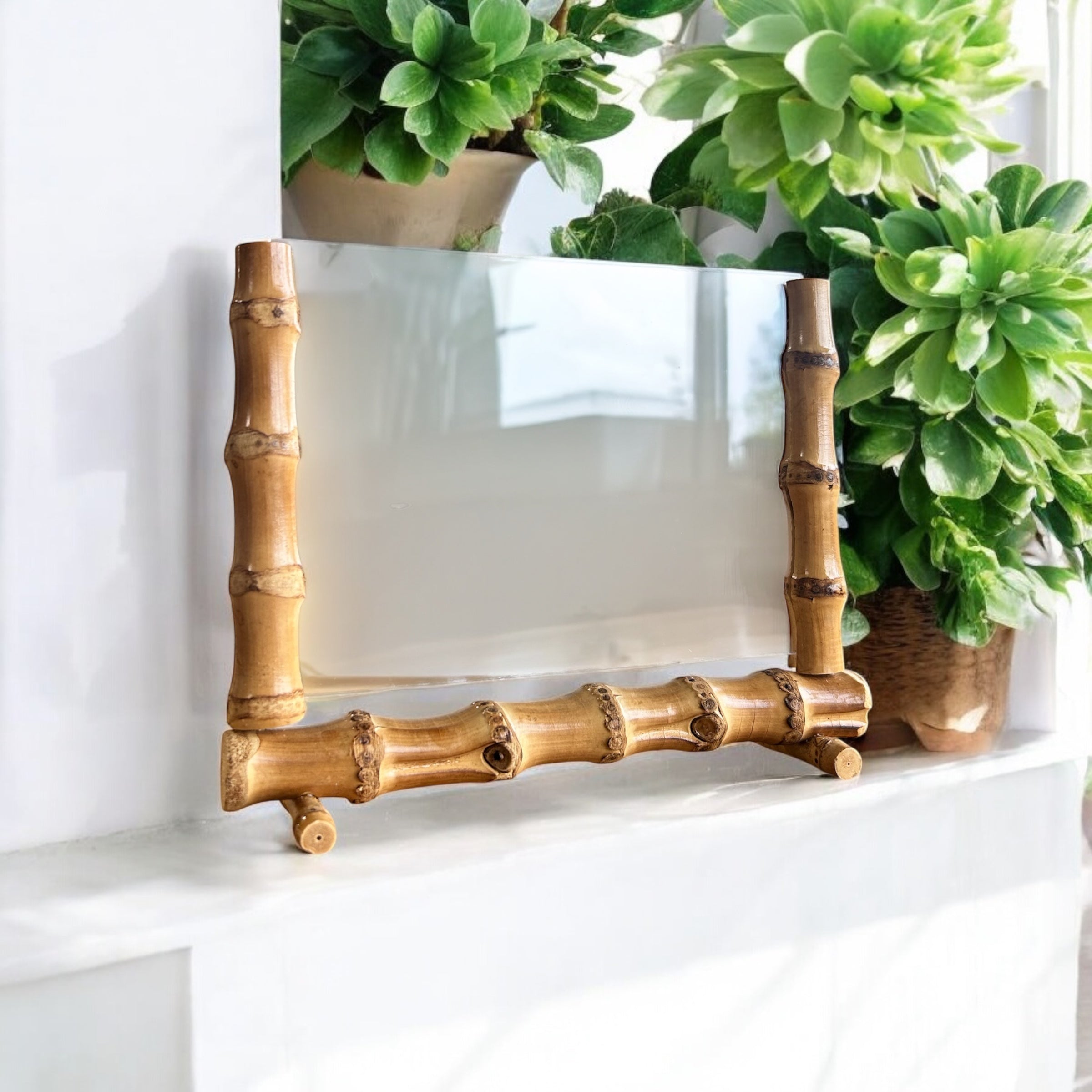 Bamboo Root Photo Stand - Bamboo Switch