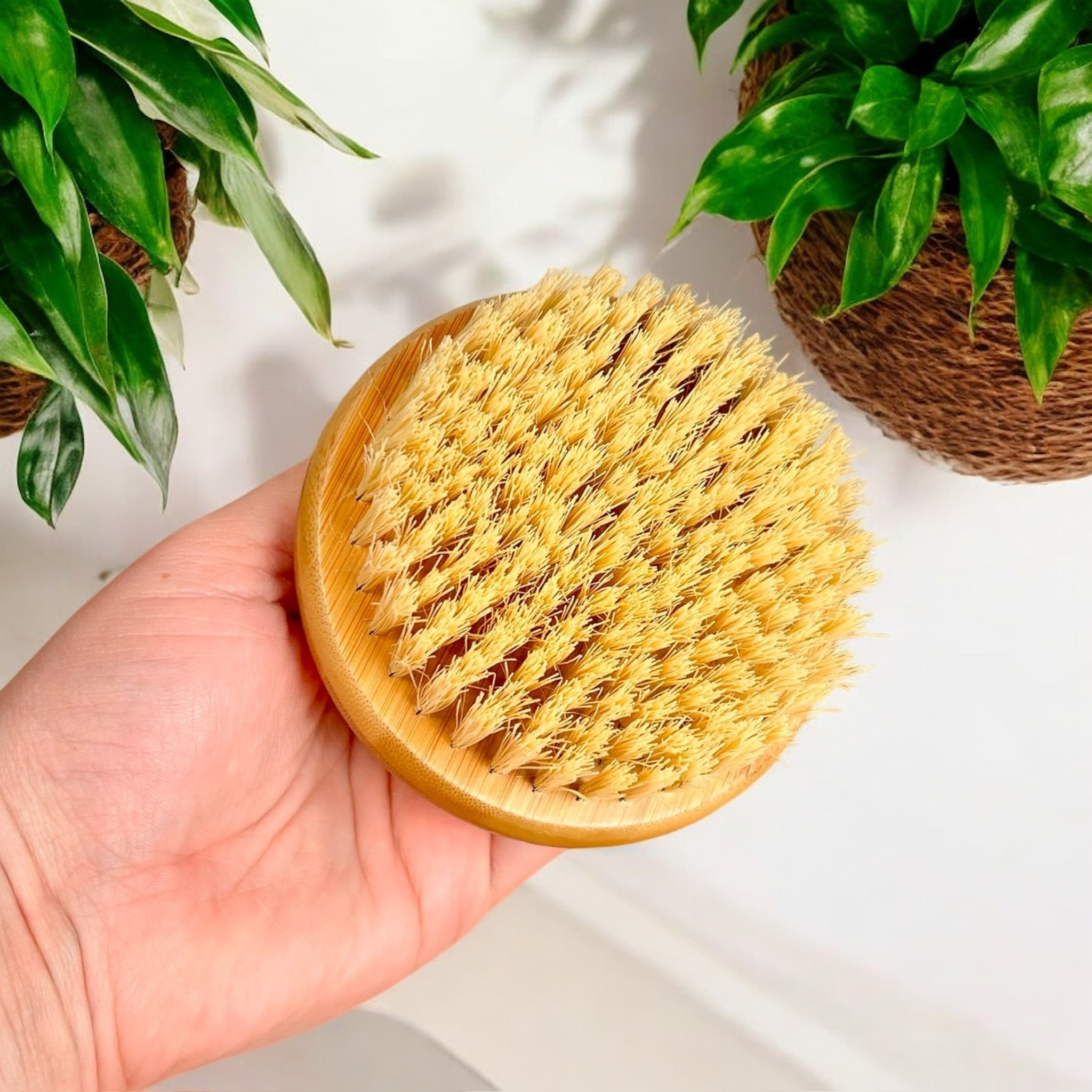 Bamboo Rounded Brush with Natural Bristles - Bamboo Switch