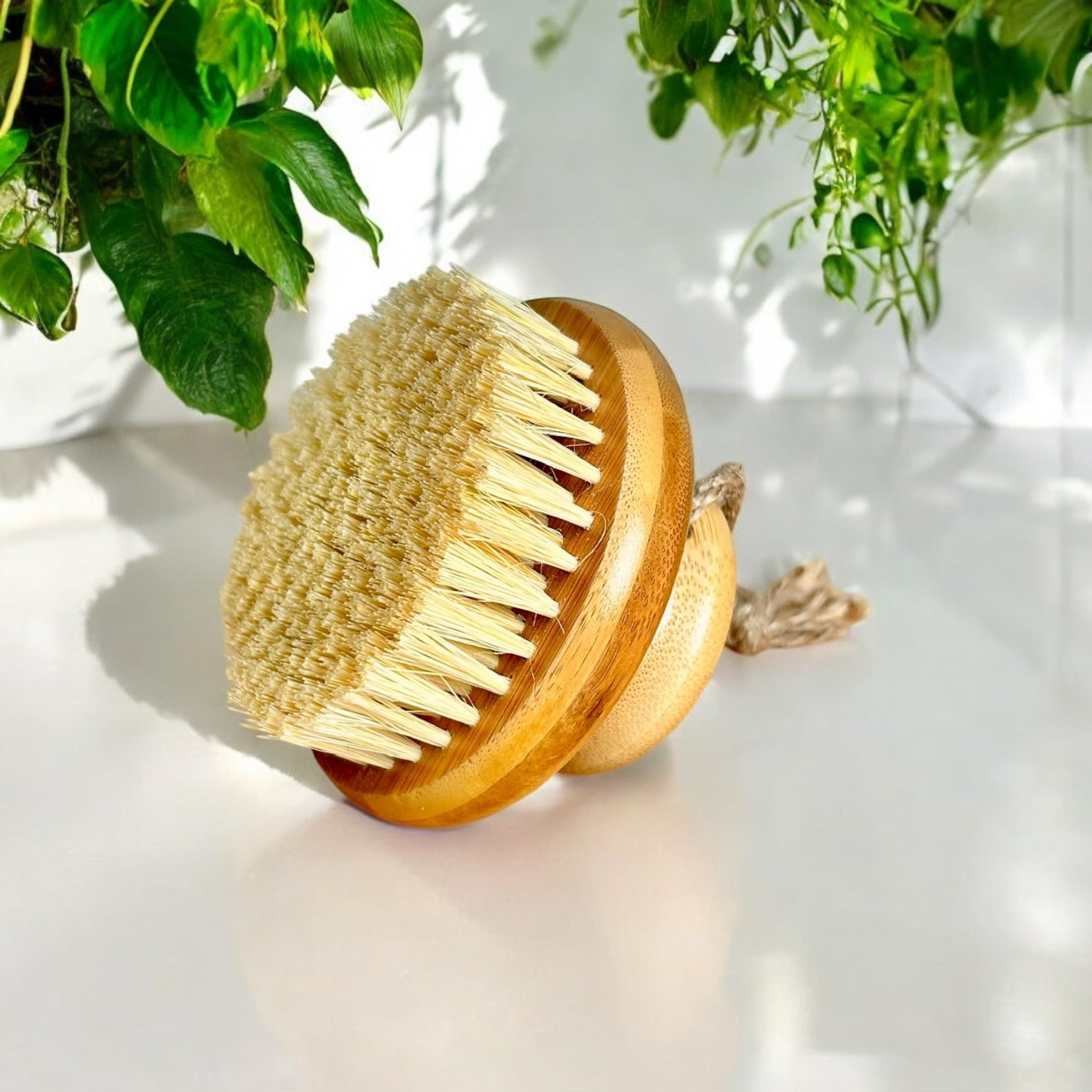 Bamboo Rounded Brush with Natural Bristles - Bamboo Switch