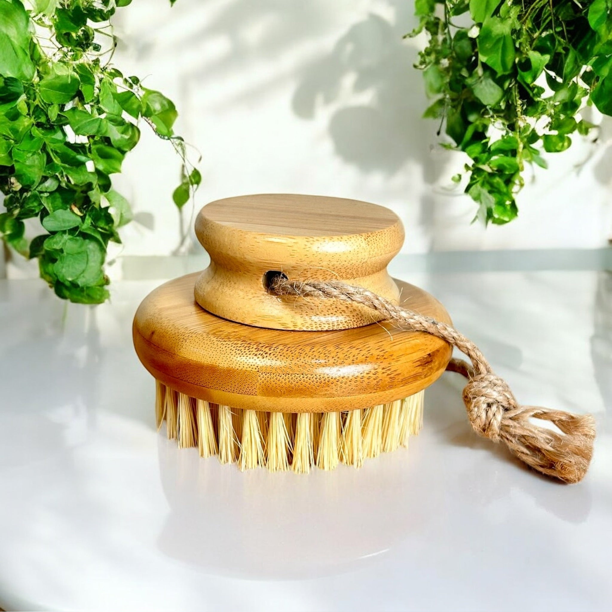Bamboo Rounded Brush with Natural Bristles - Bamboo Switch