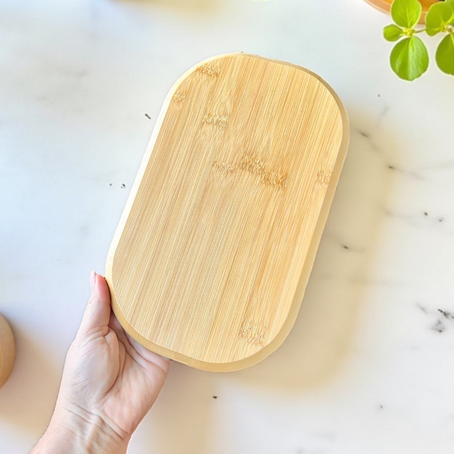 Bamboo Sectioned Plate - Bamboo Switch