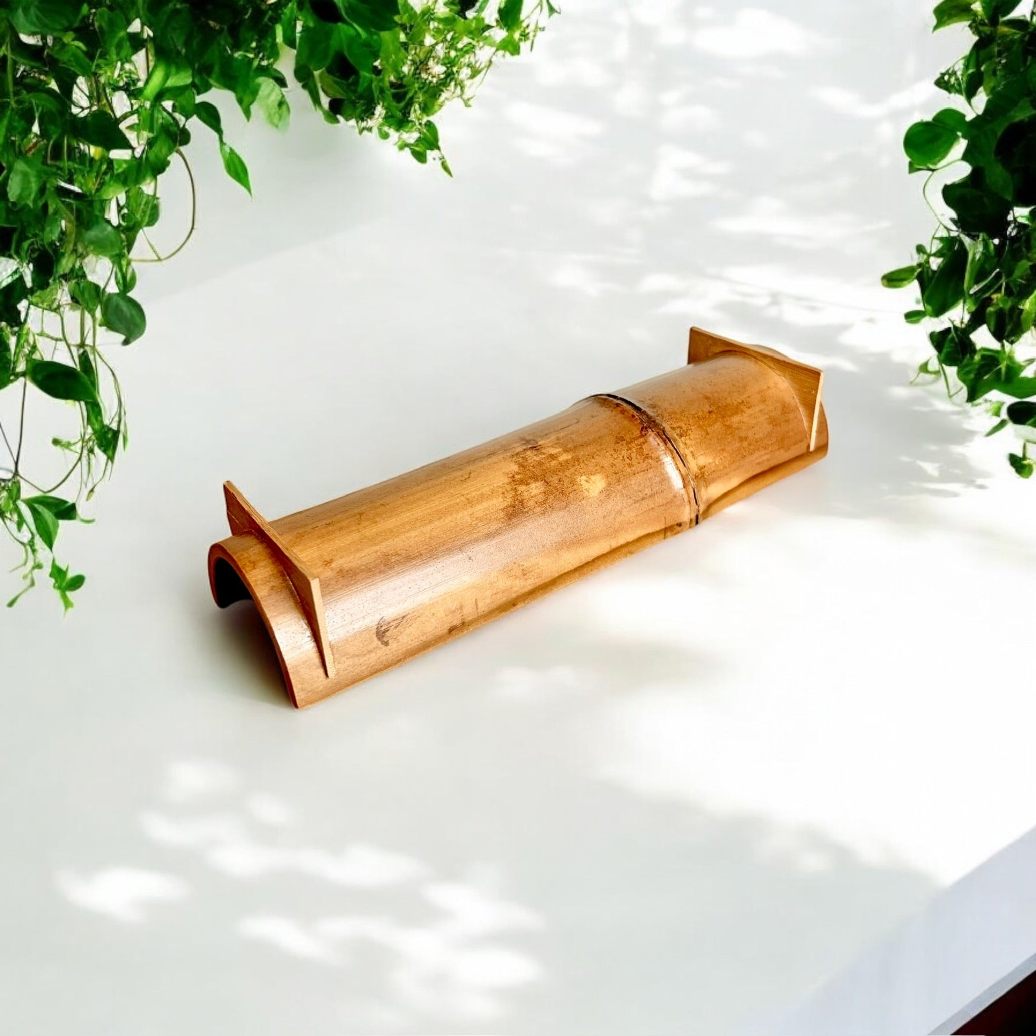 Bamboo Snack Tray - Bamboo Switch