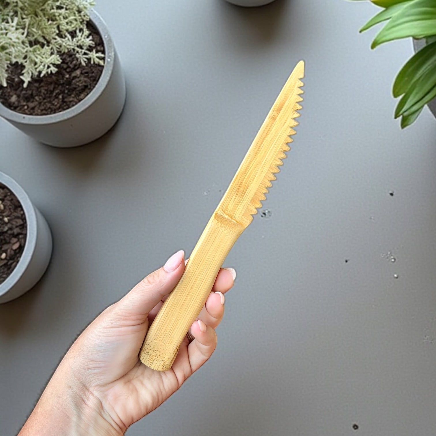 Bamboo Steak Knife - Bamboo Switch