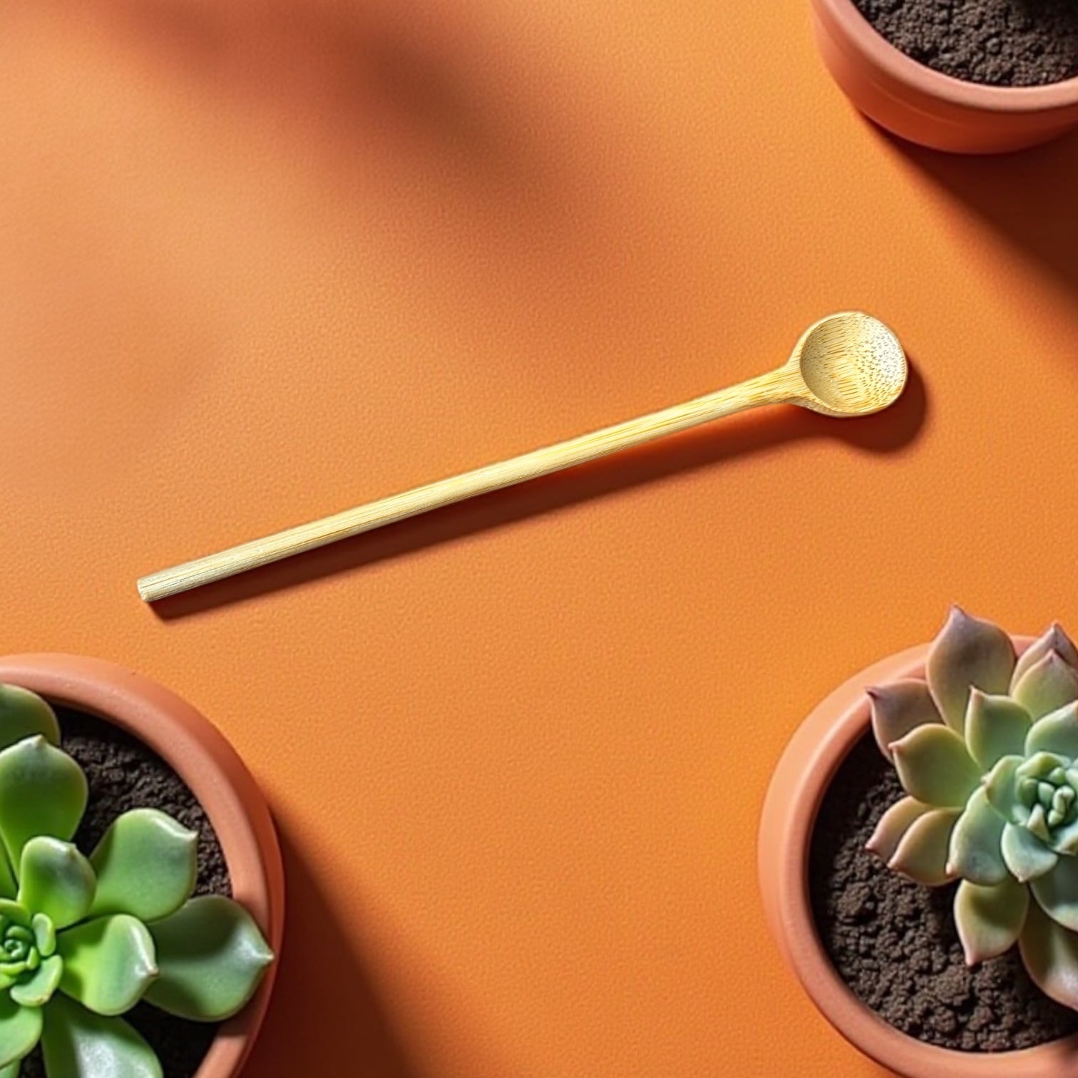 Bamboo Stir Spoon - Bamboo Switch