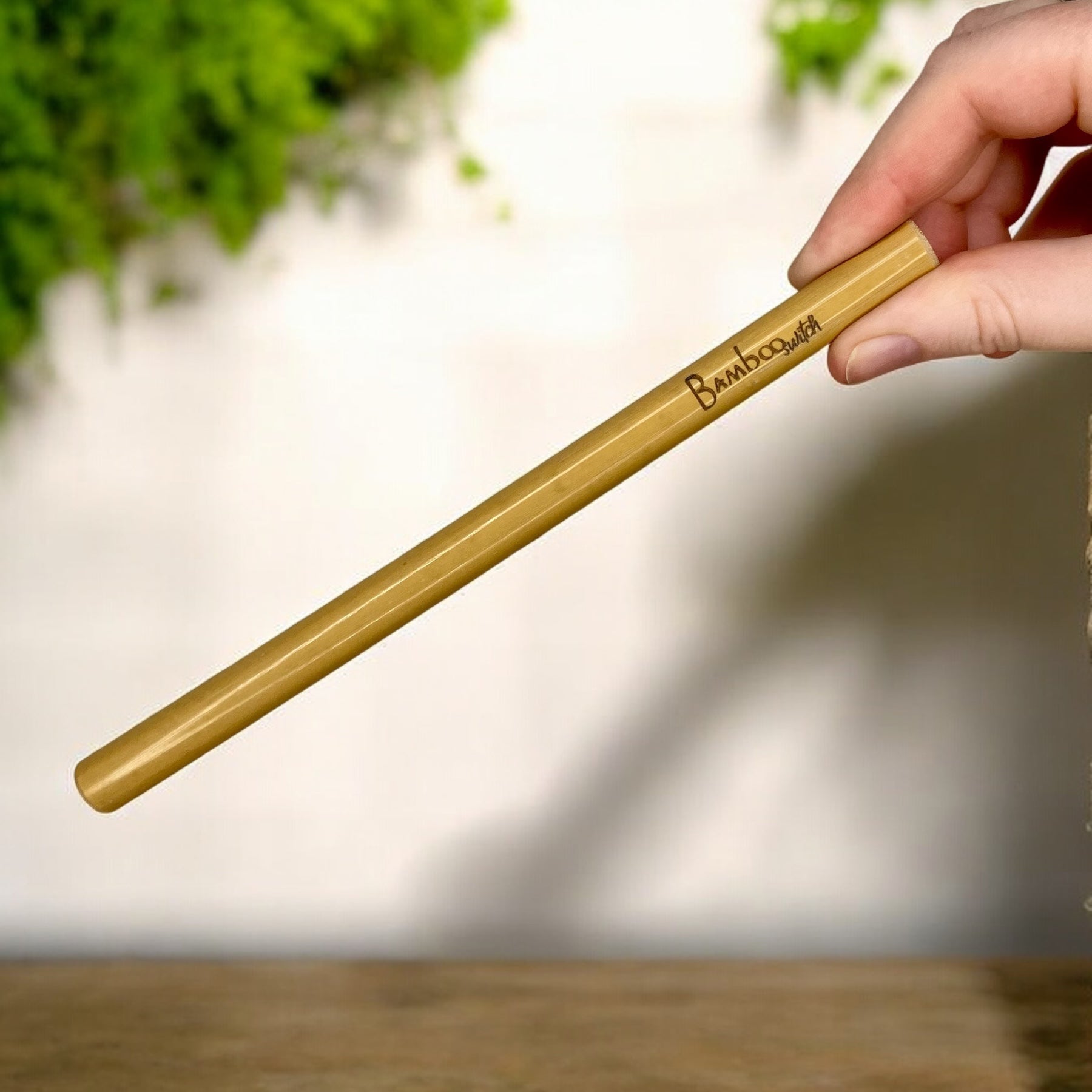 Bamboo Straw - Bamboo Switch