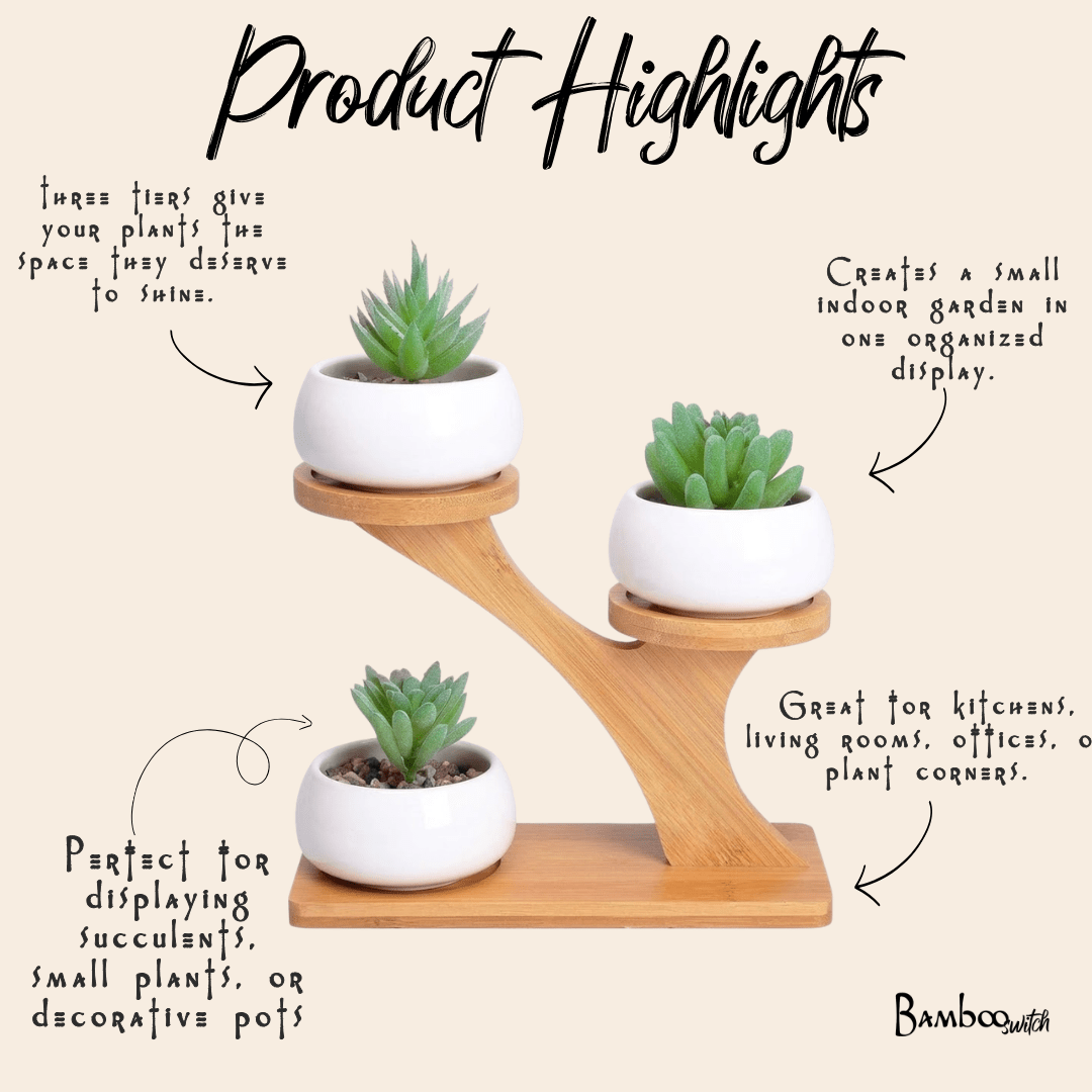 Bamboo Succulent Plant Stand - Bamboo Switch
