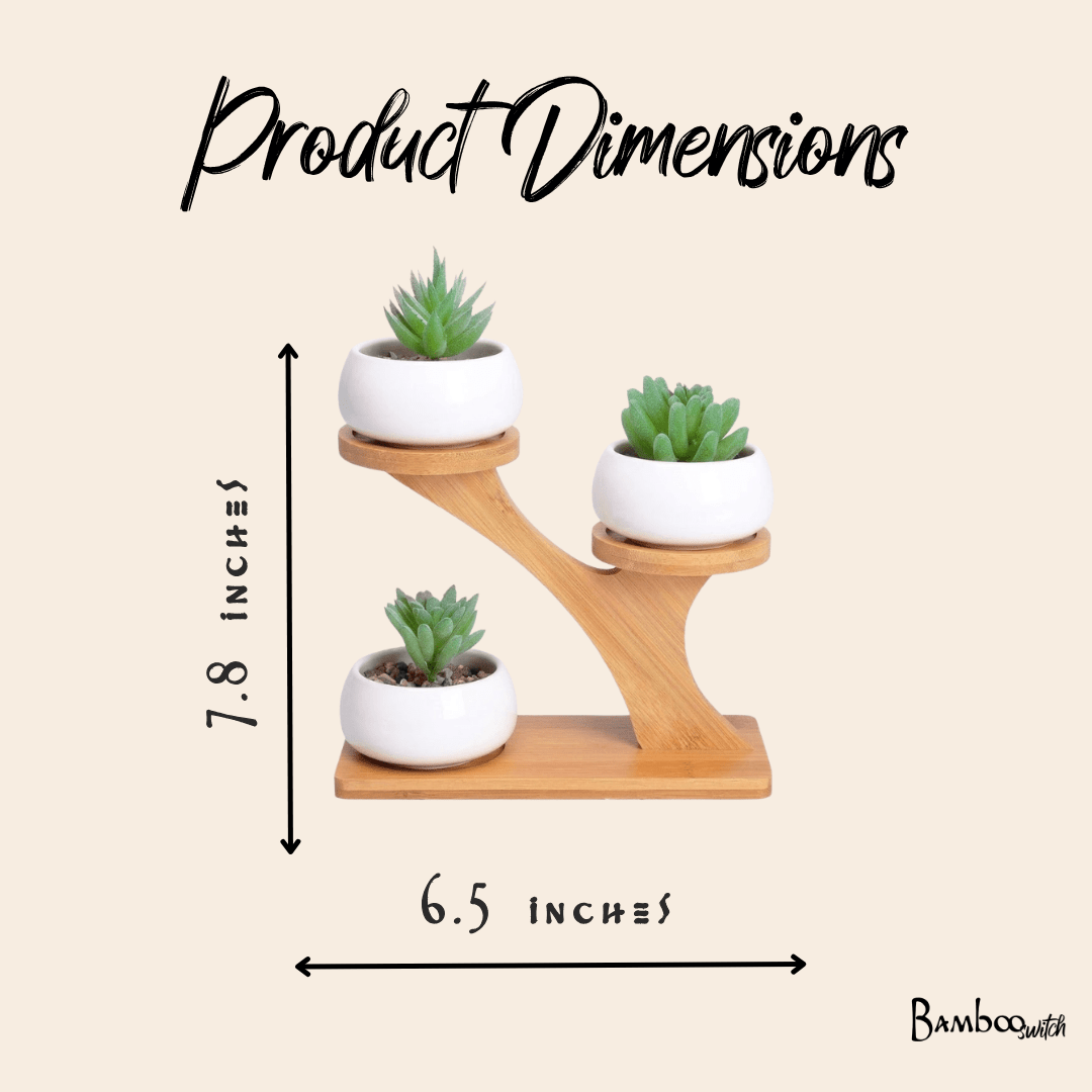 Bamboo Succulent Plant Stand - Bamboo Switch