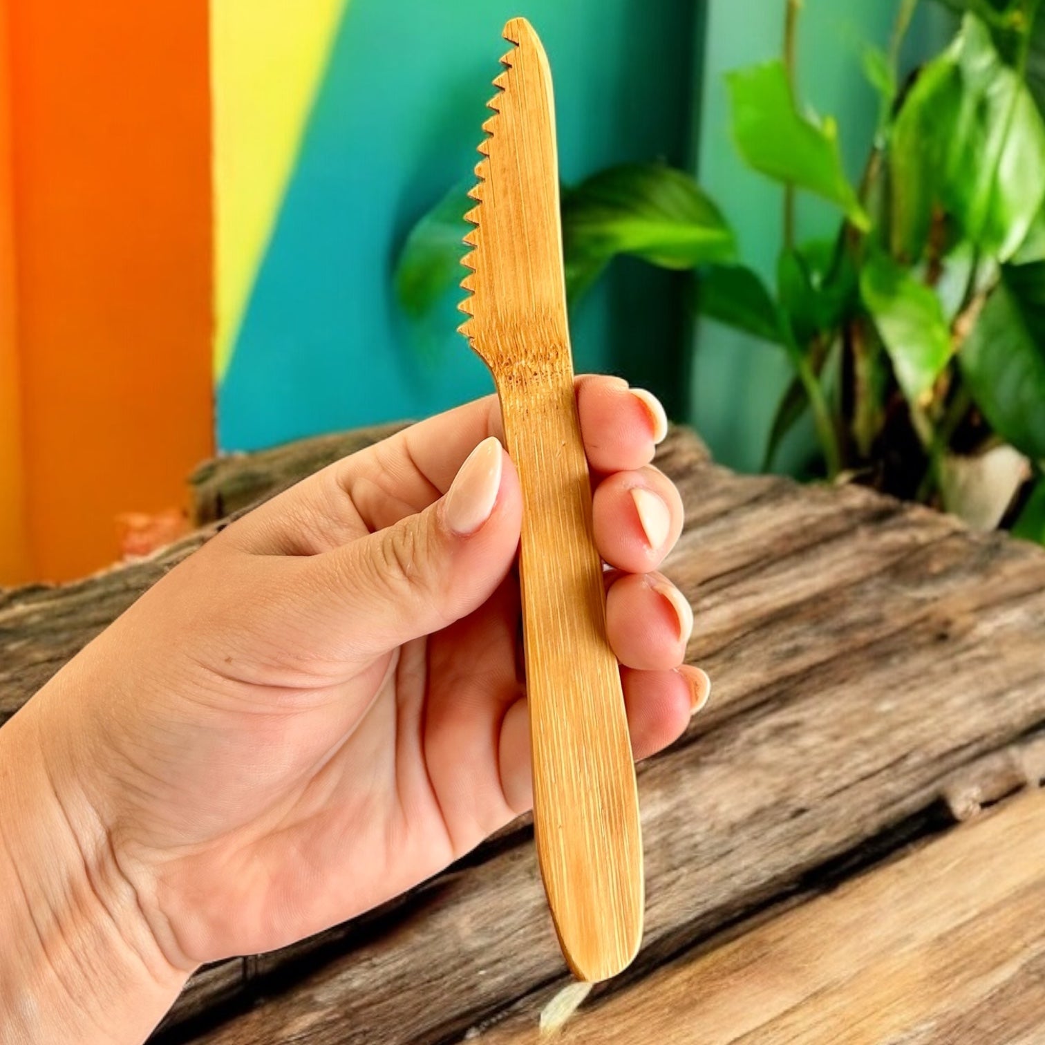 Bamboo Travel Cutlery Set | Kids - Bamboo Switch