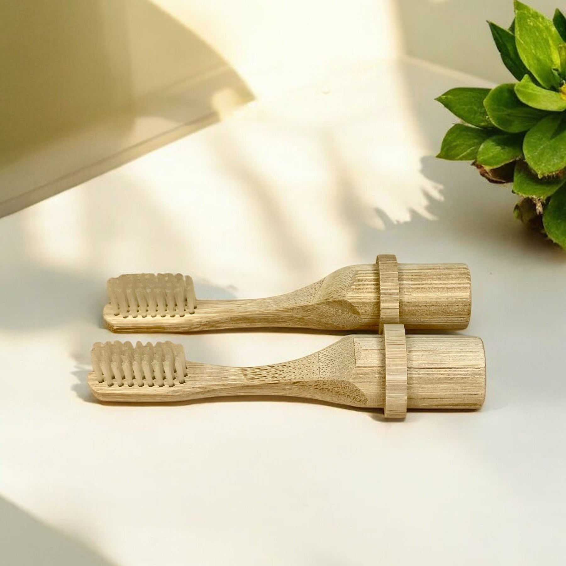 Bamboo Travel Toothbrush Replacement Heads - Bamboo Switch