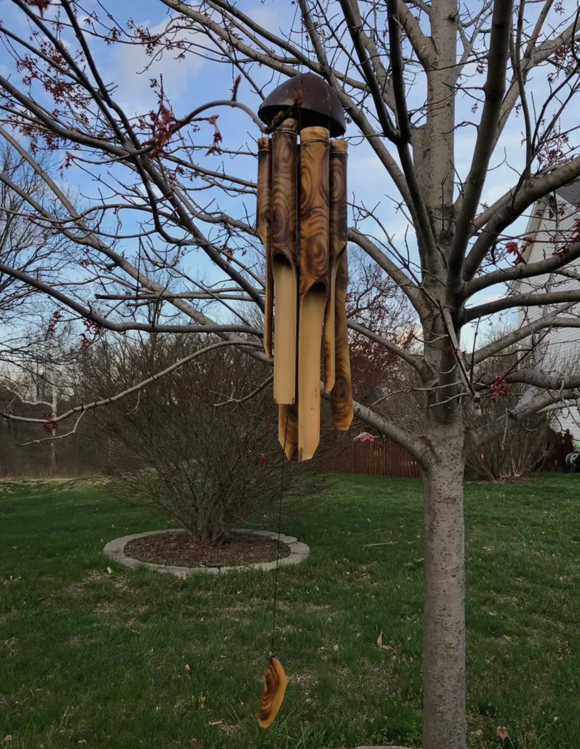 Bamboo Wind Chime - Half Shell Coconut - Bamboo Switch