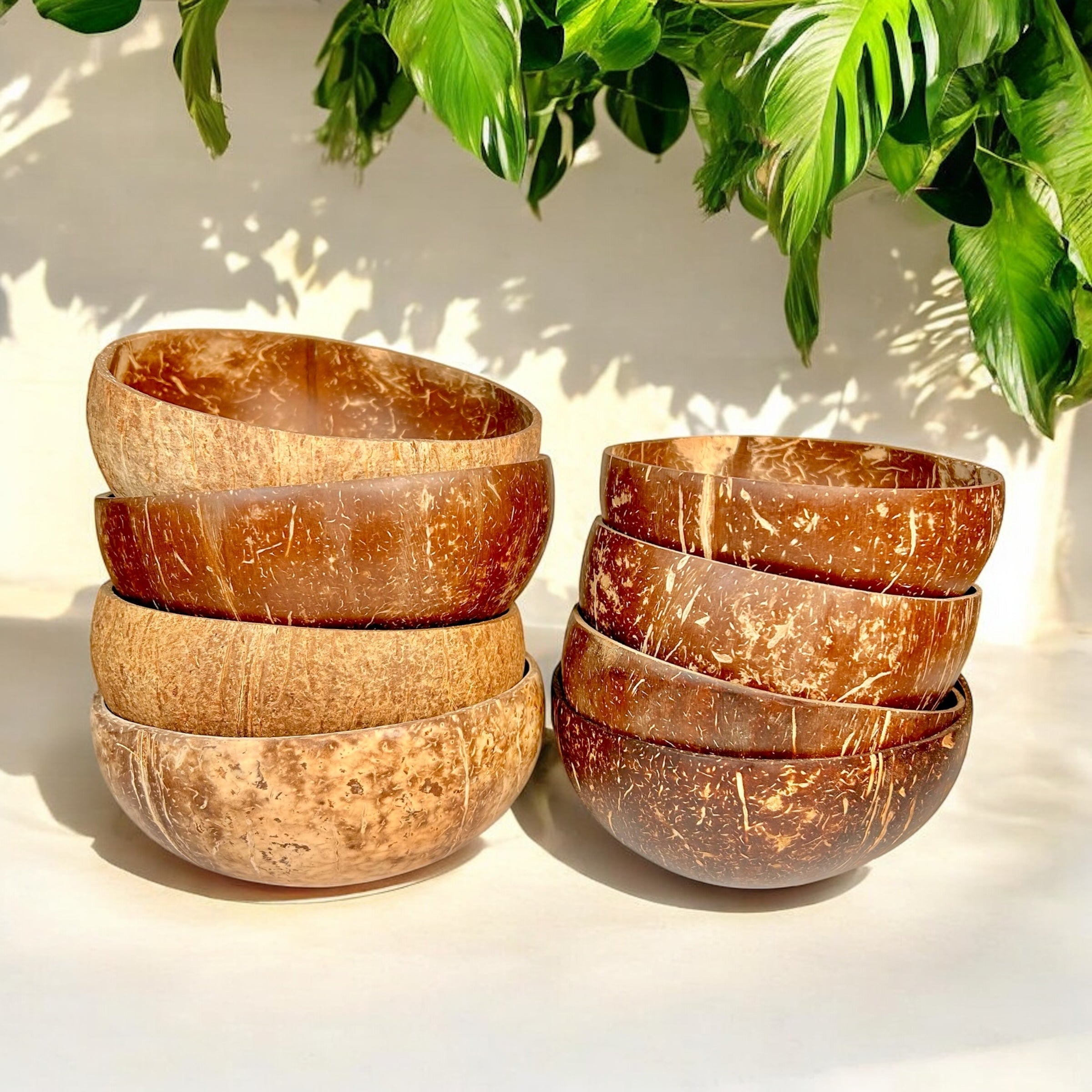 Coconut Bowl - Bamboo Switch