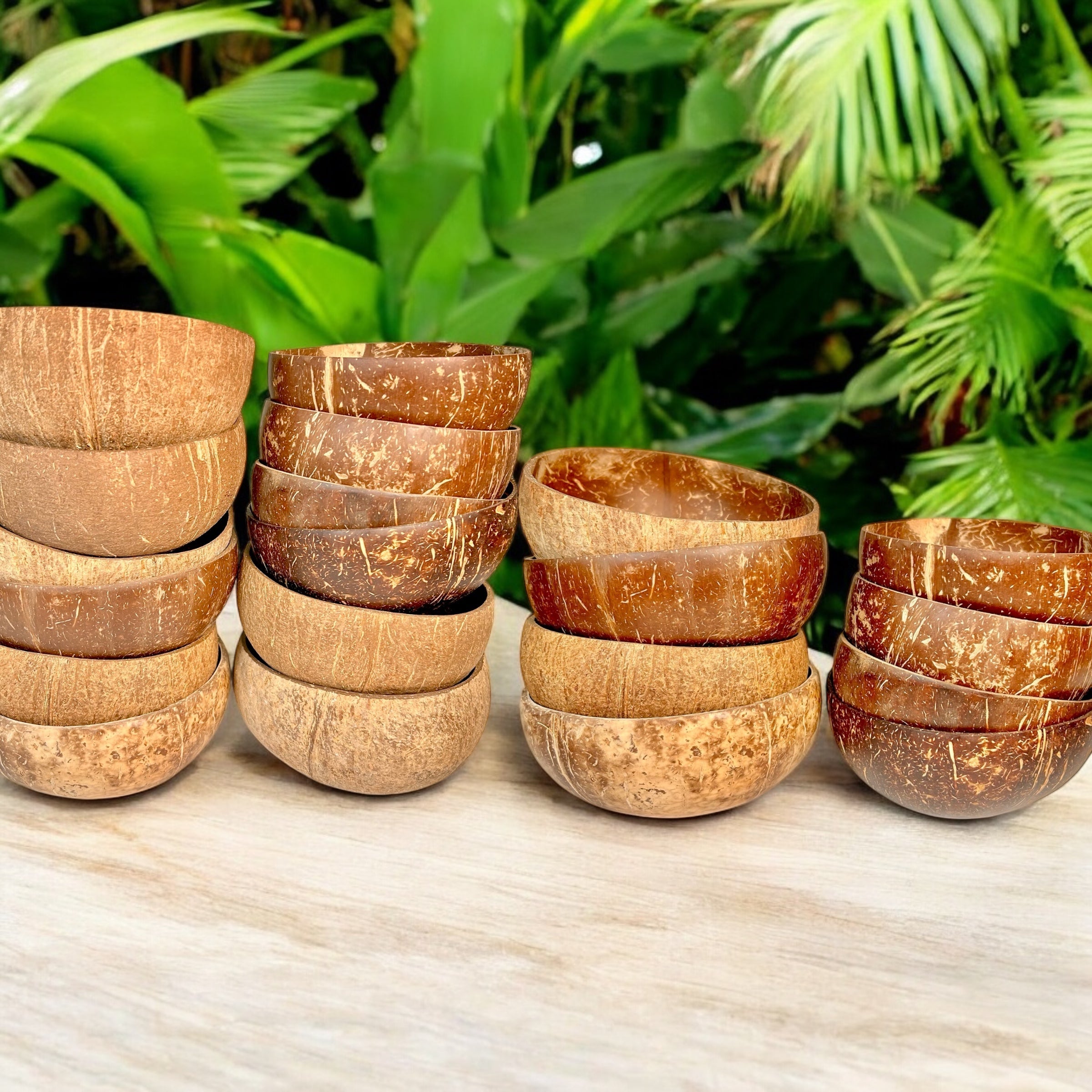 Coconut Bowl - Bamboo Switch