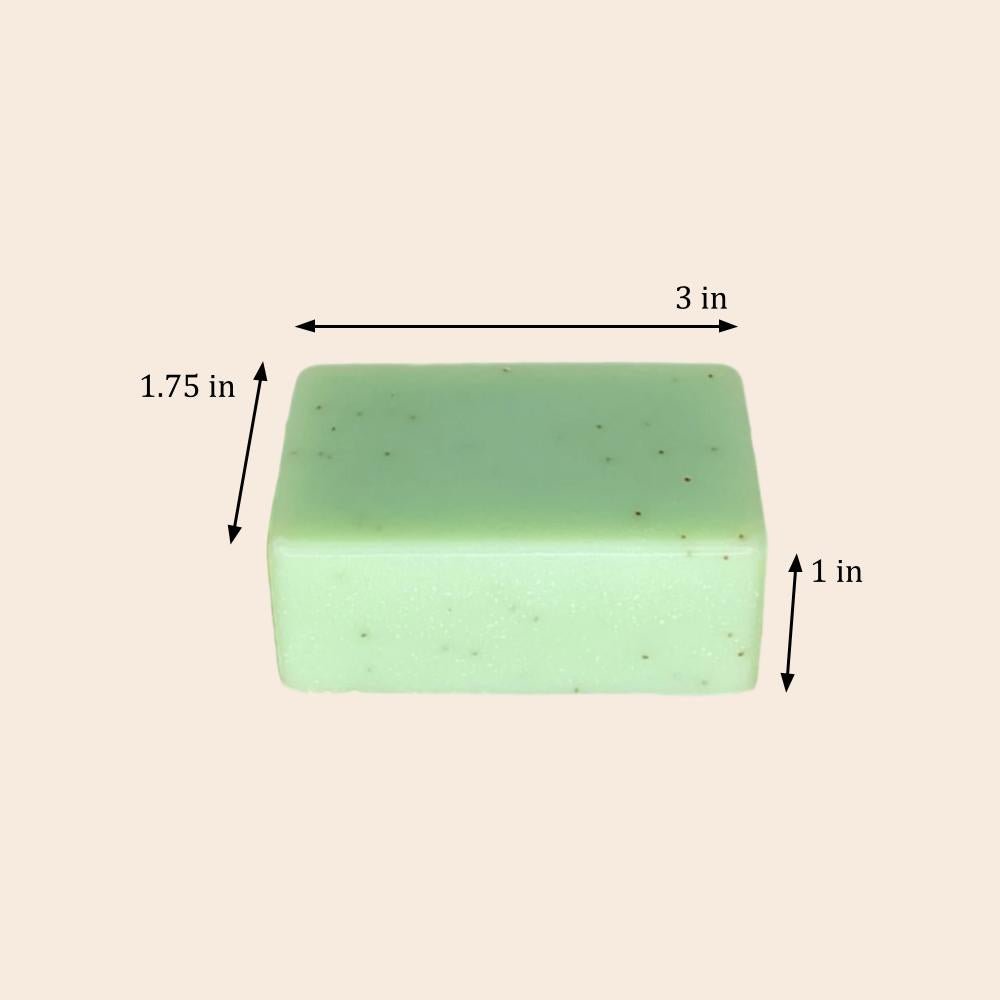 Cold Process Soap Bar | Tea Tree - Bamboo Switch