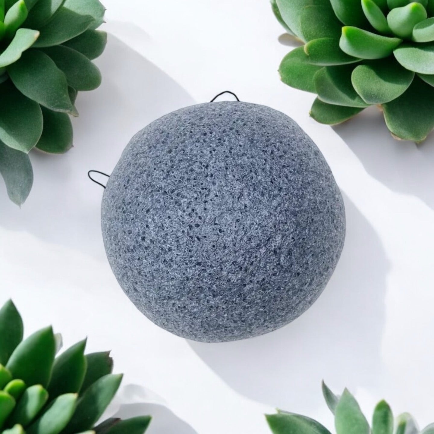 Natural Konjac Facial Sponge - Bamboo Switch