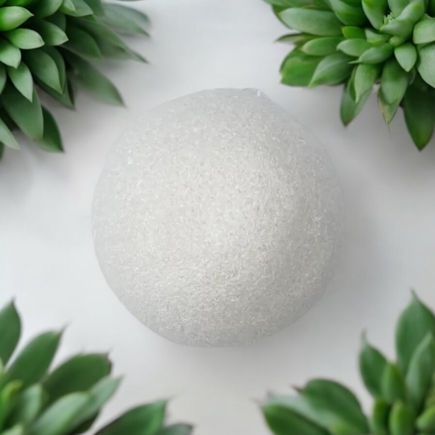 Natural Konjac Facial Sponge - Bamboo Switch
