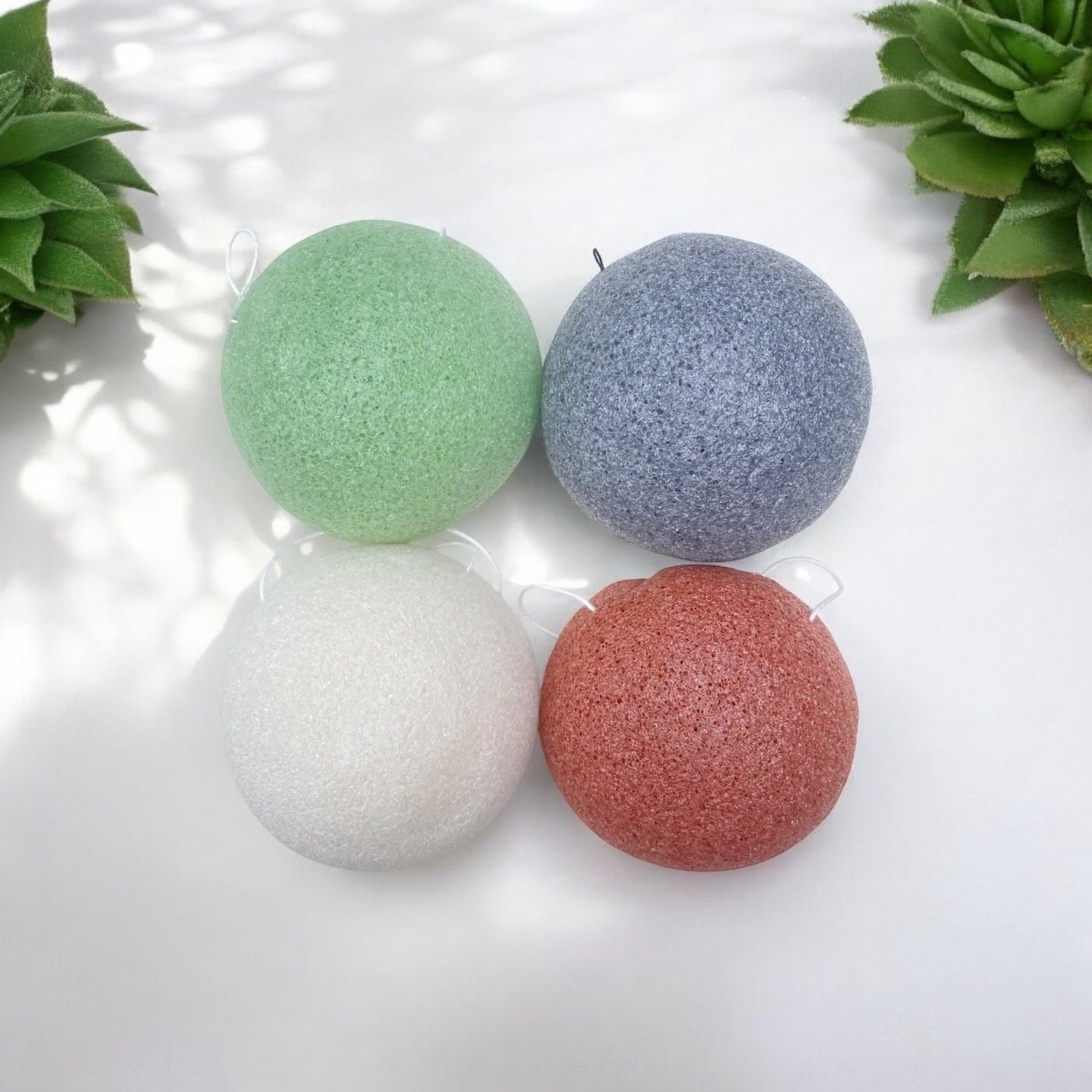 Natural Konjac Facial Sponge - Bamboo Switch