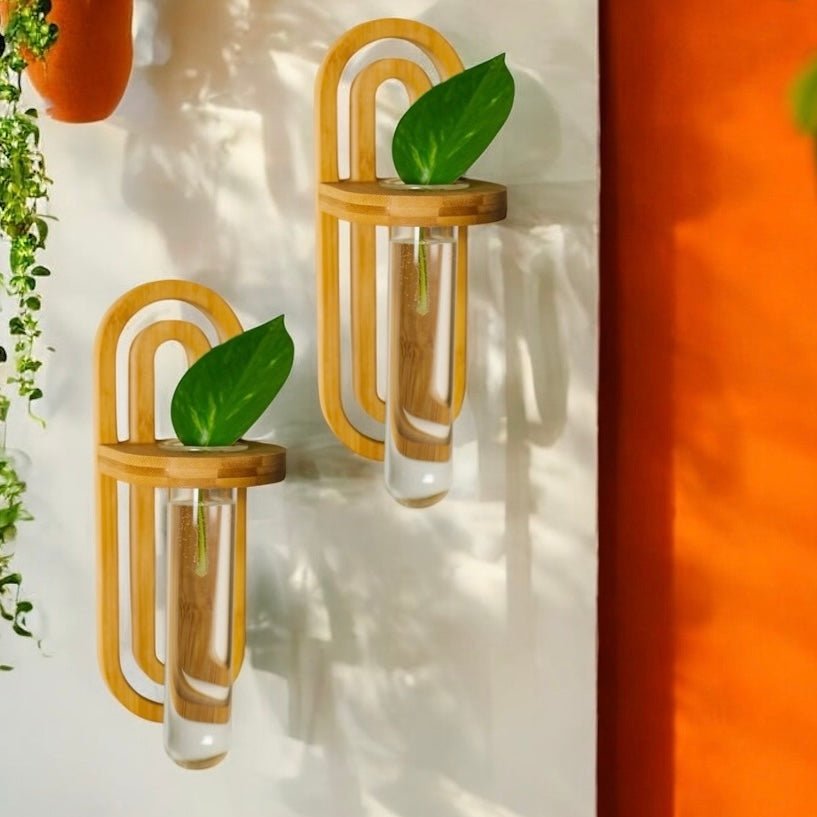 Propagation Wall Hanger - Bamboo Switch