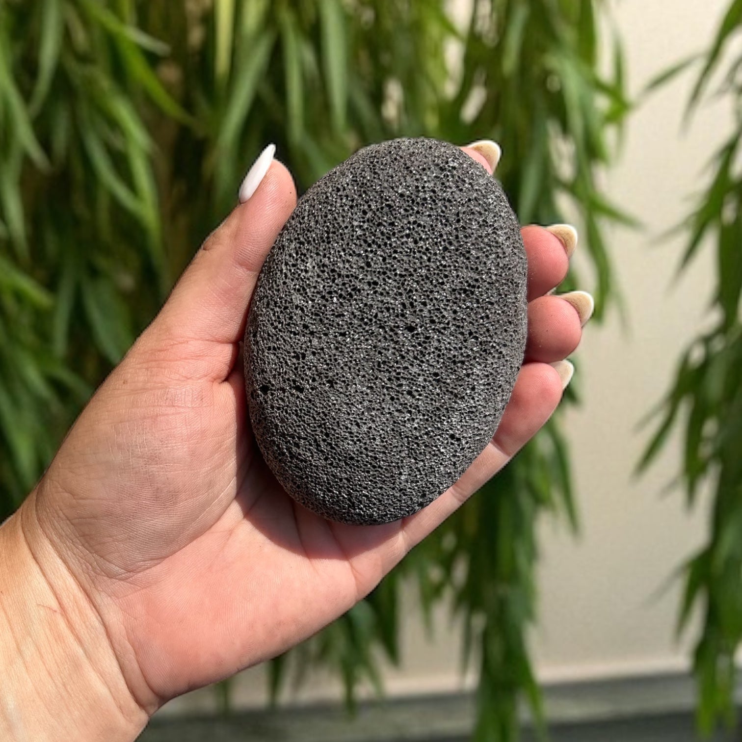 Pumice Lava Stone - Bamboo Switch