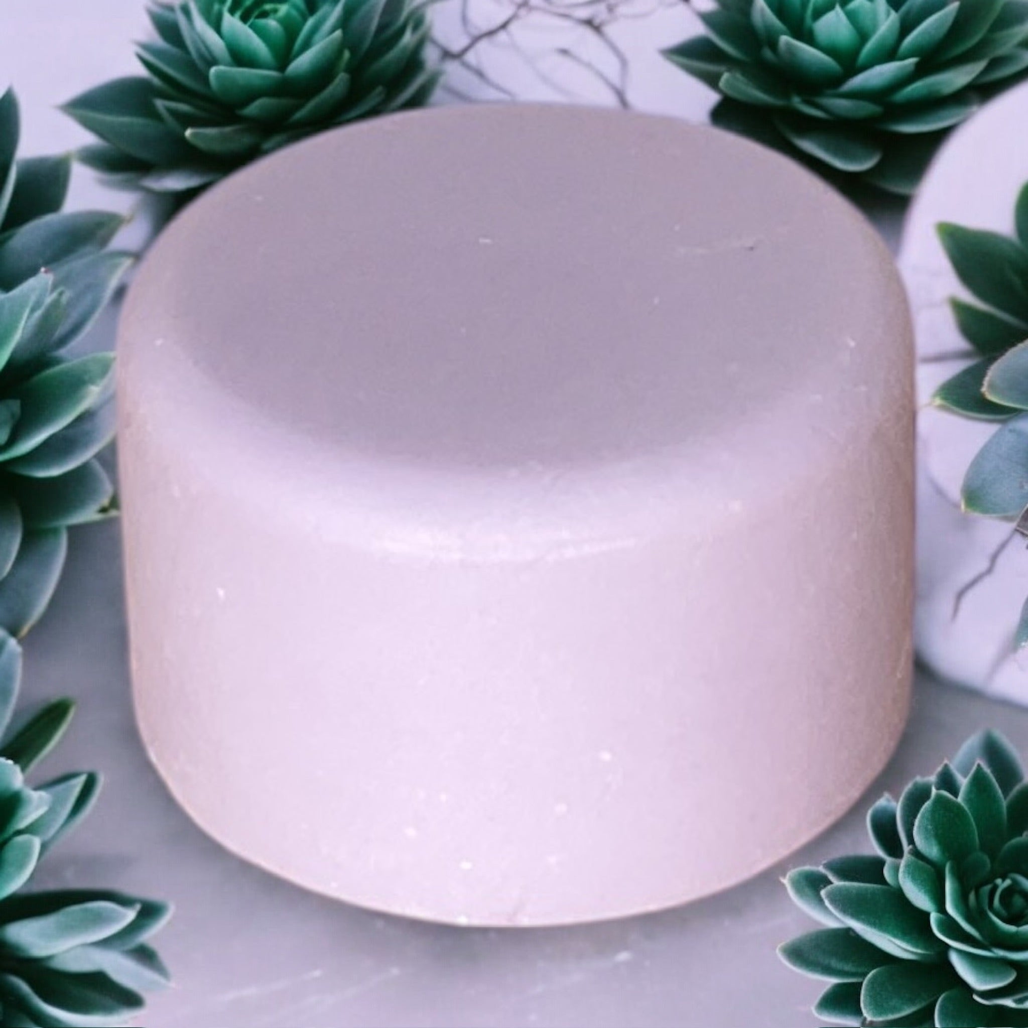 Shampoo & Conditioner | 2 in 1 | Lavender - Bamboo Switch