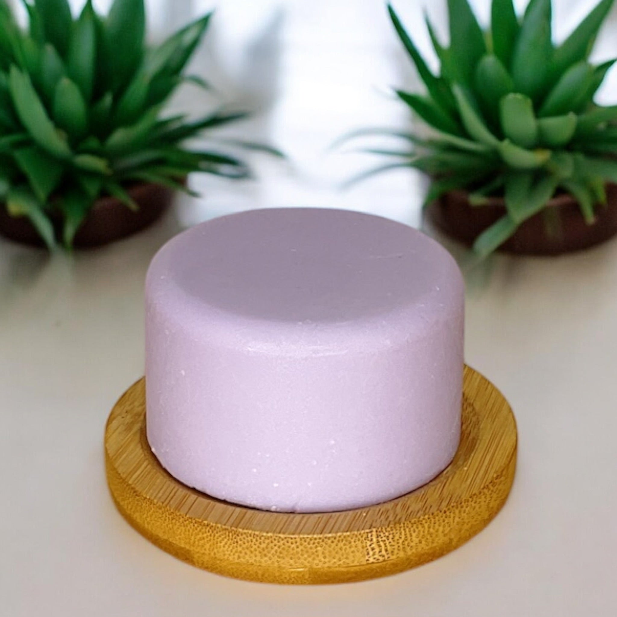 Shampoo & Conditioner | 2 in 1 | Lavender - Bamboo Switch