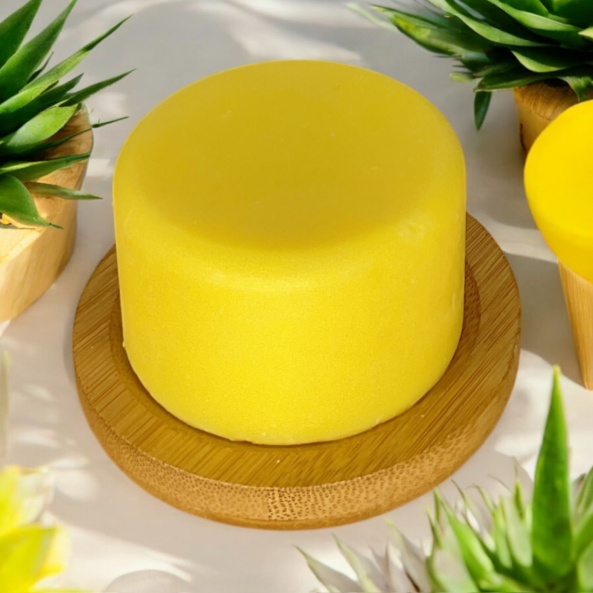 Shampoo & Conditioner | 2 in 1 | Turmeric - Bamboo Switch