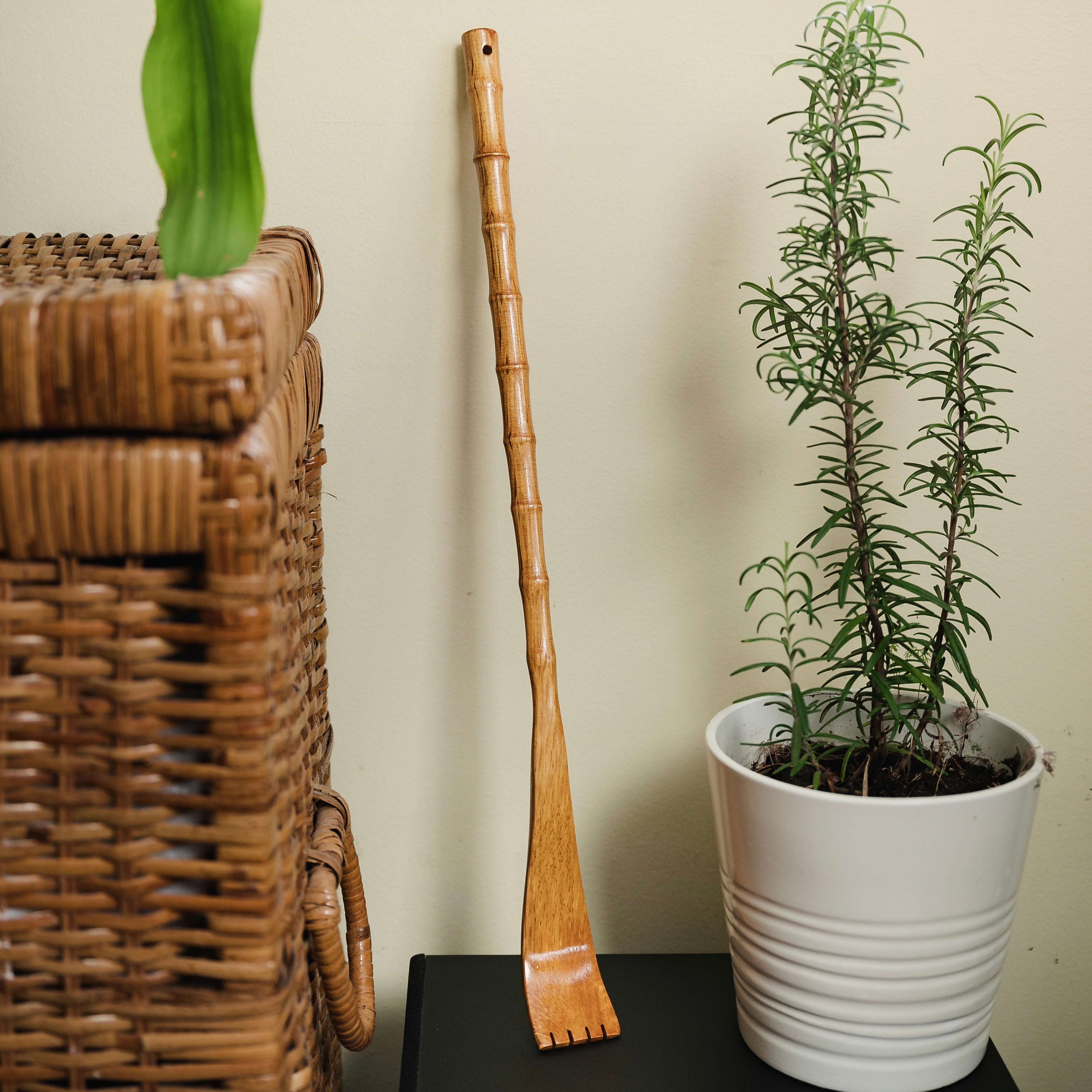Bamboo Backscratcher - Bamboo Switch