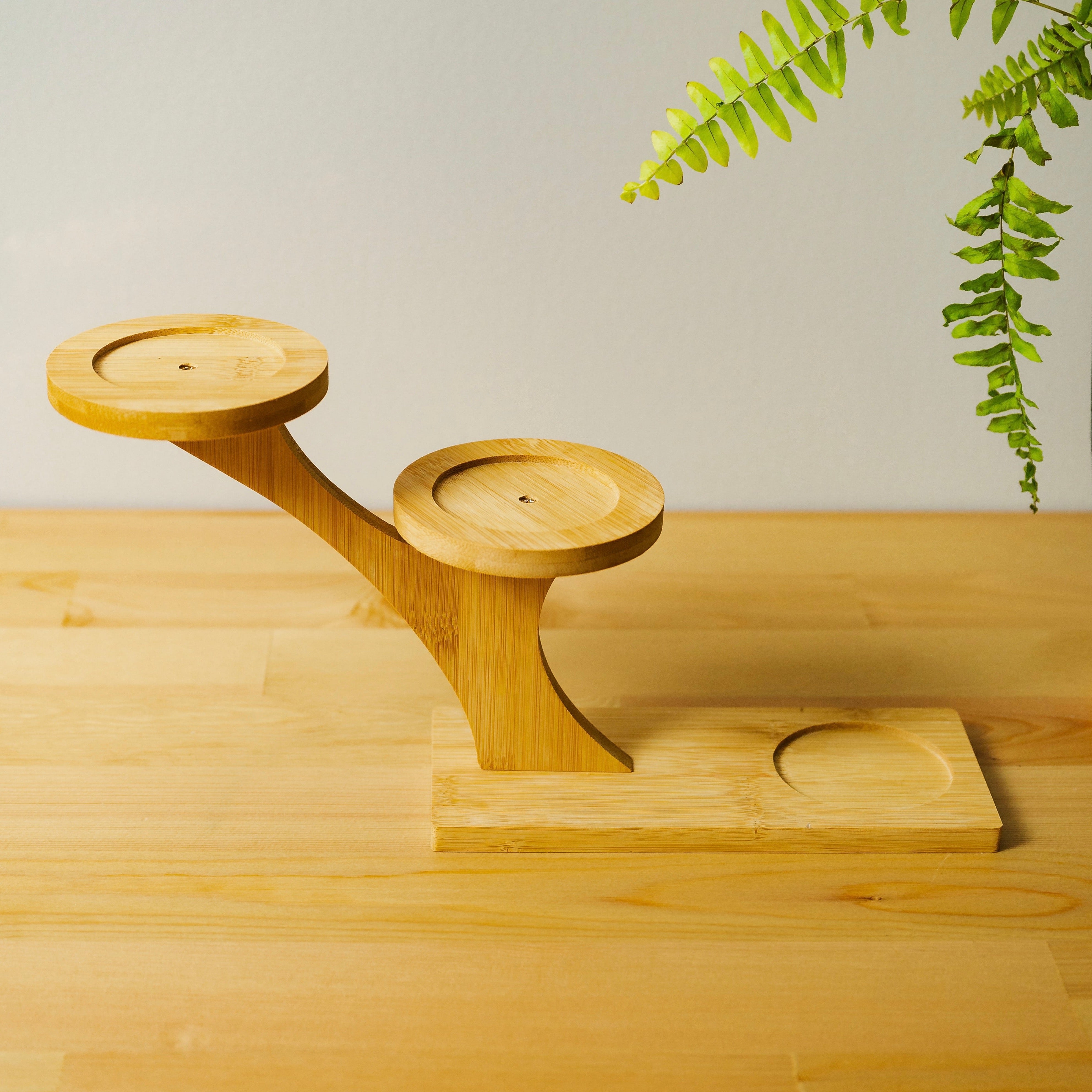 Bamboo Succulent Plant Stand - Bamboo Switch