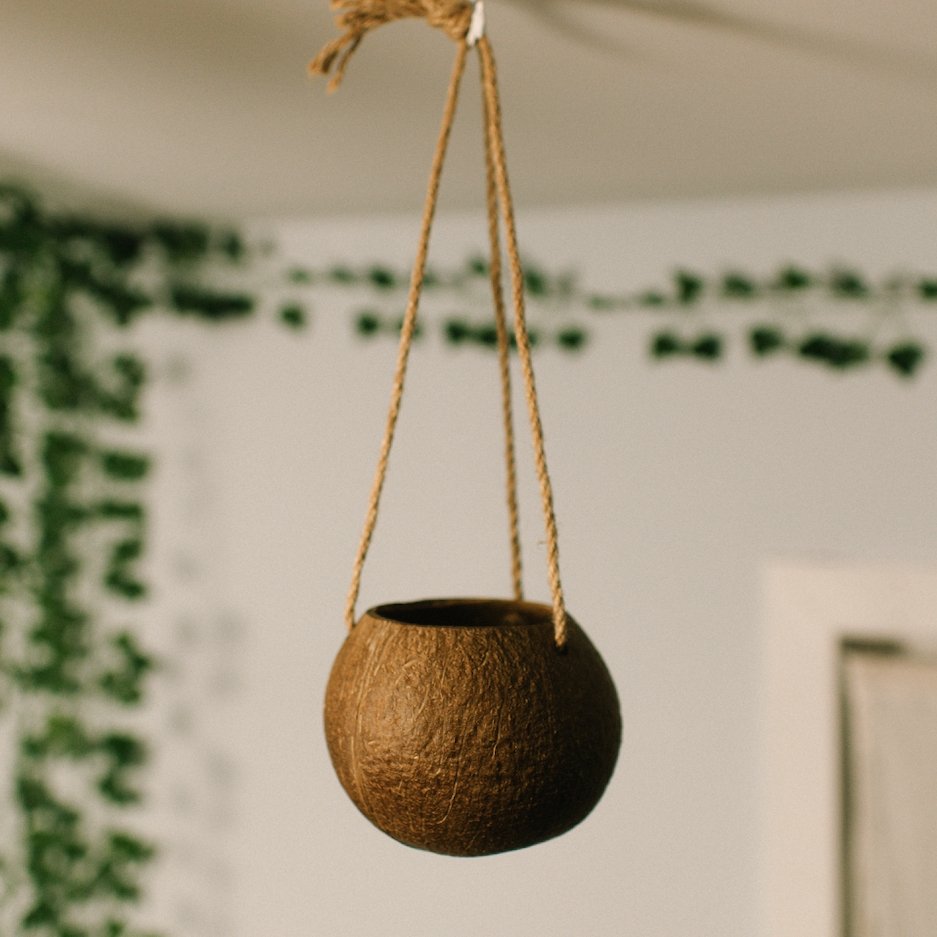 Coconut Planter with Jute Twine - Bamboo Switch