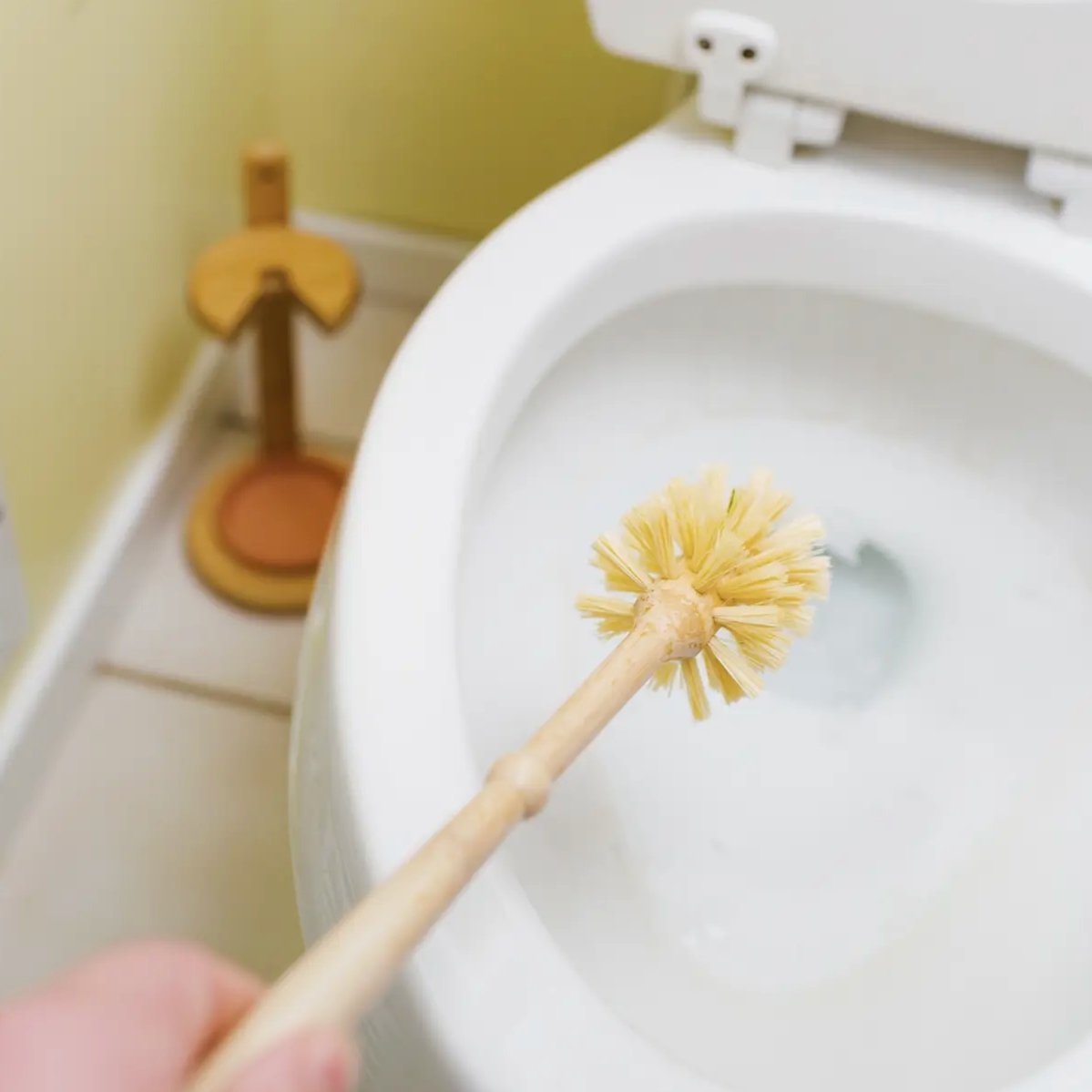 Bamboo Toilet Brush - Bamboo Switch