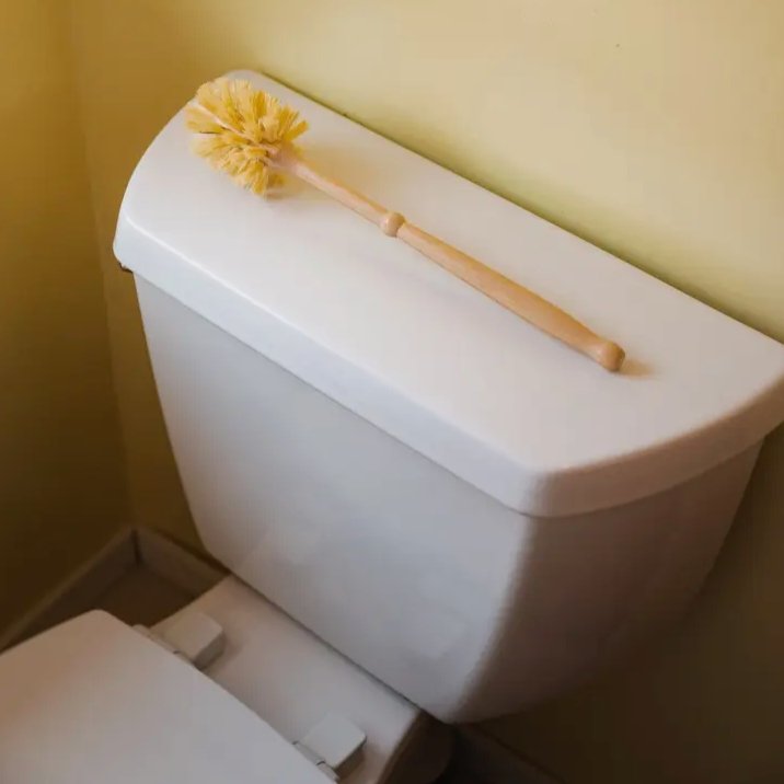 Bamboo Toilet Brush - Bamboo Switch