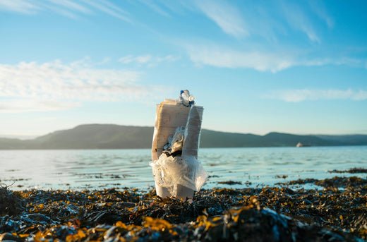 Single-Use Plastic Alternatives in Marine Ecosystems - Bamboo Switch