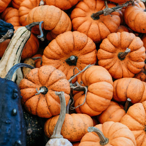 Sustainable Fall Decor