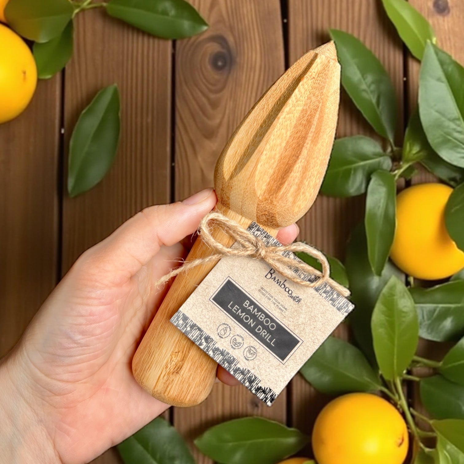 Bamboo Lemon Juicer - Bamboo Switch