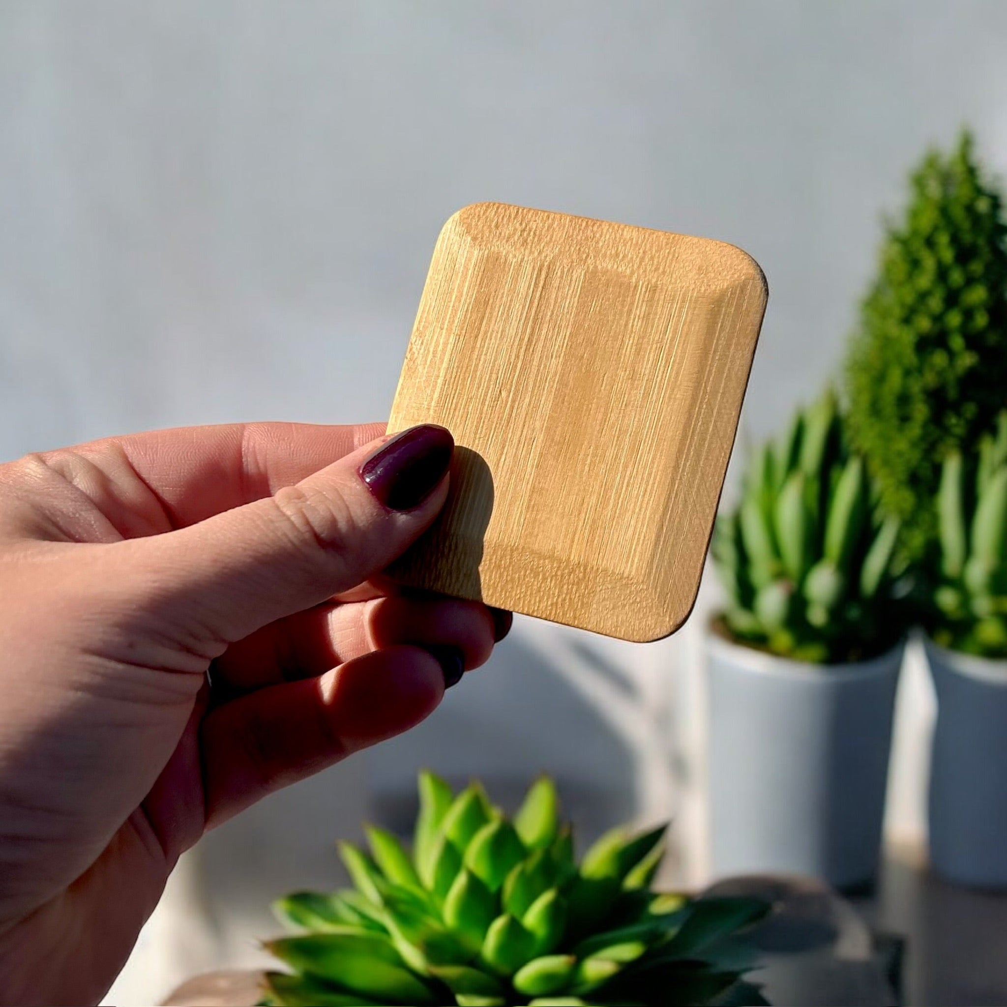Bamboo Pot Scraper - Bamboo Switch