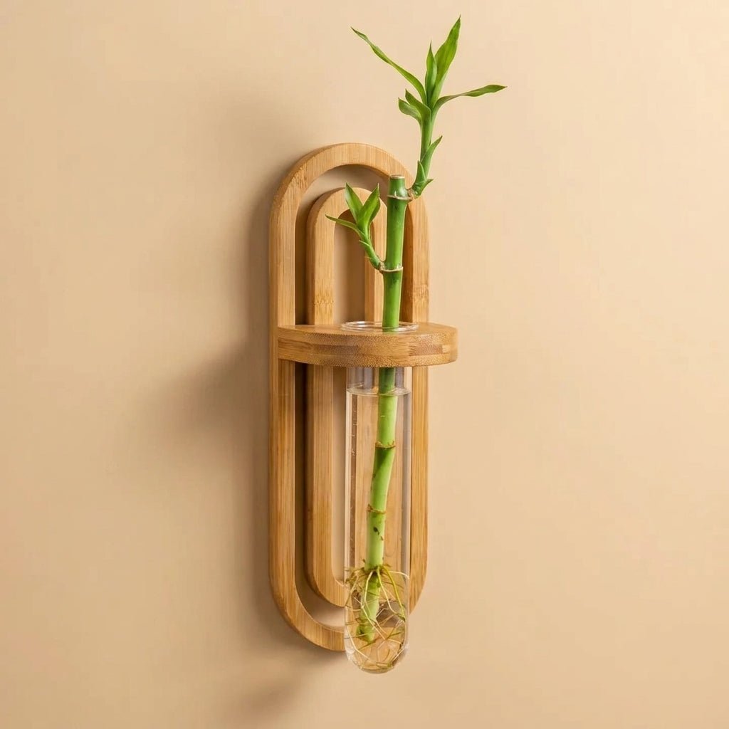 A bamboo wall-mounted terrarium with a clear glass vial holding a green bamboo stem and roots, set against a warm beige wall by Bamboo Switch