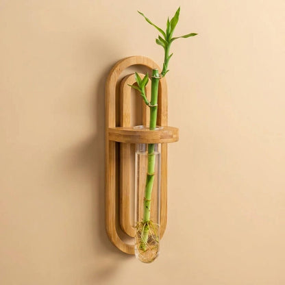 A bamboo wall-mounted terrarium with a clear glass vial holding a green bamboo stem and roots, set against a warm beige wall by Bamboo Switch