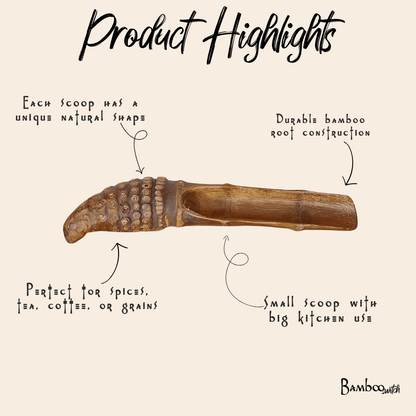 Bamboo Scoop | Cone Root Handle - Bamboo Switch