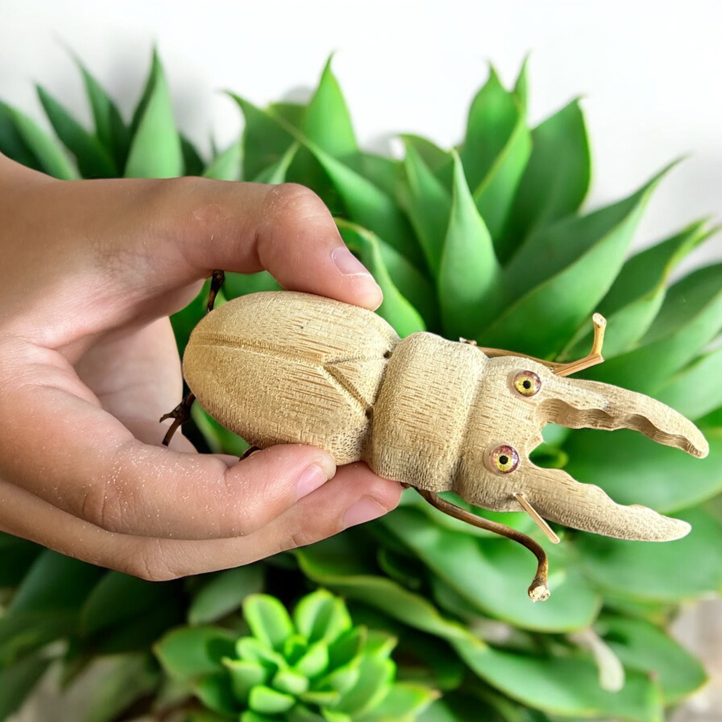 Bamboo Stag Beetle Toy - Bamboo Switch