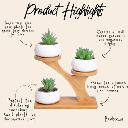 succulent bamboo Bamboo Succulent Plant Stand