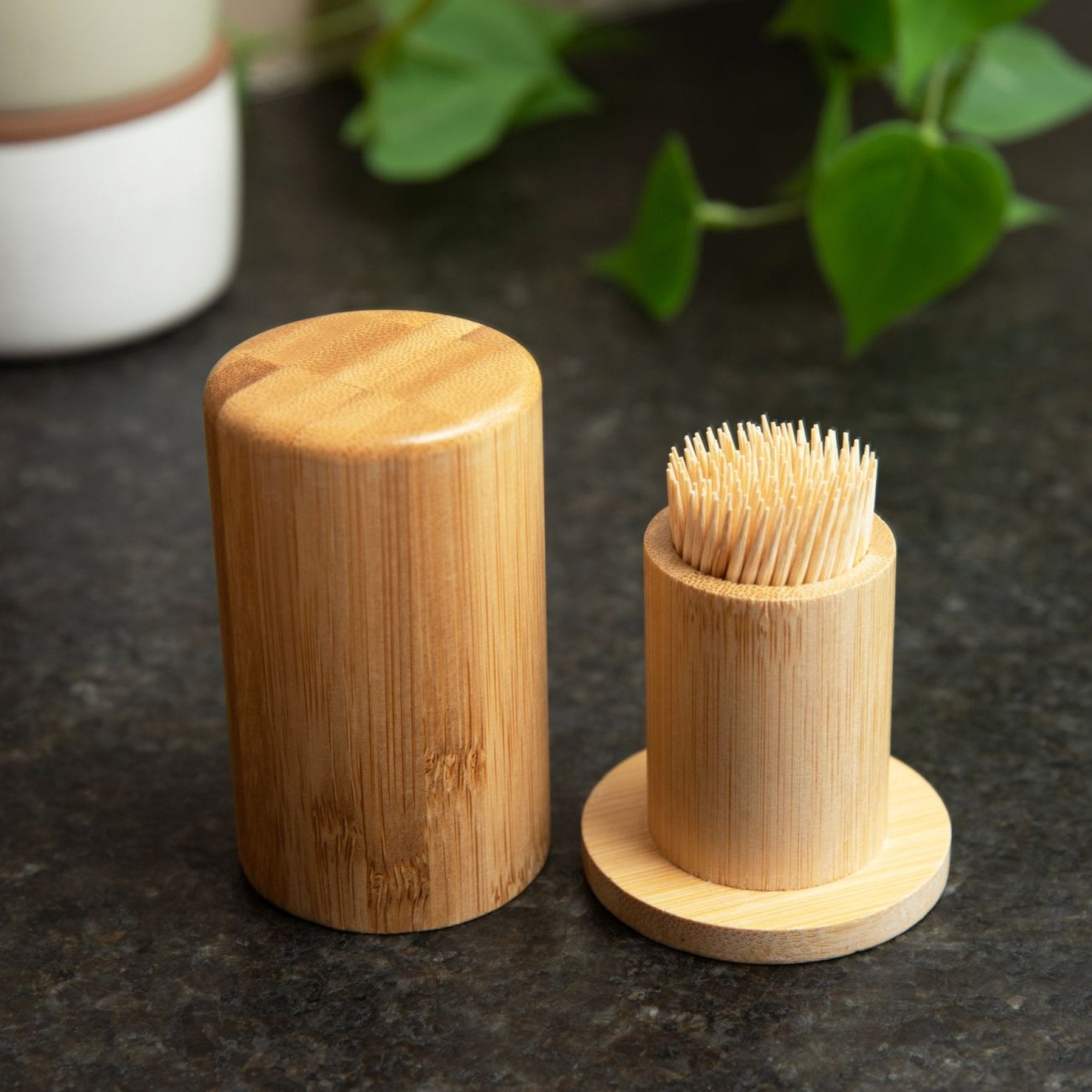 sustainable, zero waste, earth-friendly, plastic-free Bamboo Toothpick Holder - Bamboo Switch