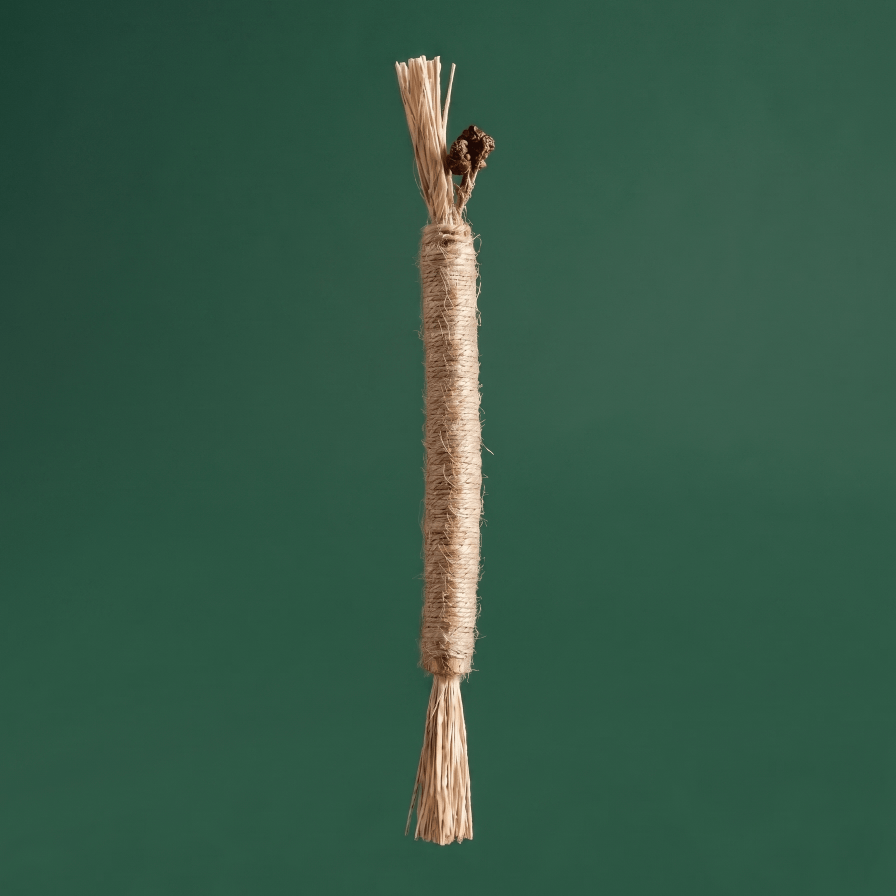 Twine and raffia cat chew toy upright on green background | Bamboo Switch