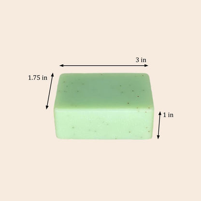 Cold Process Soap Bar | Tea Tree - Bamboo Switch