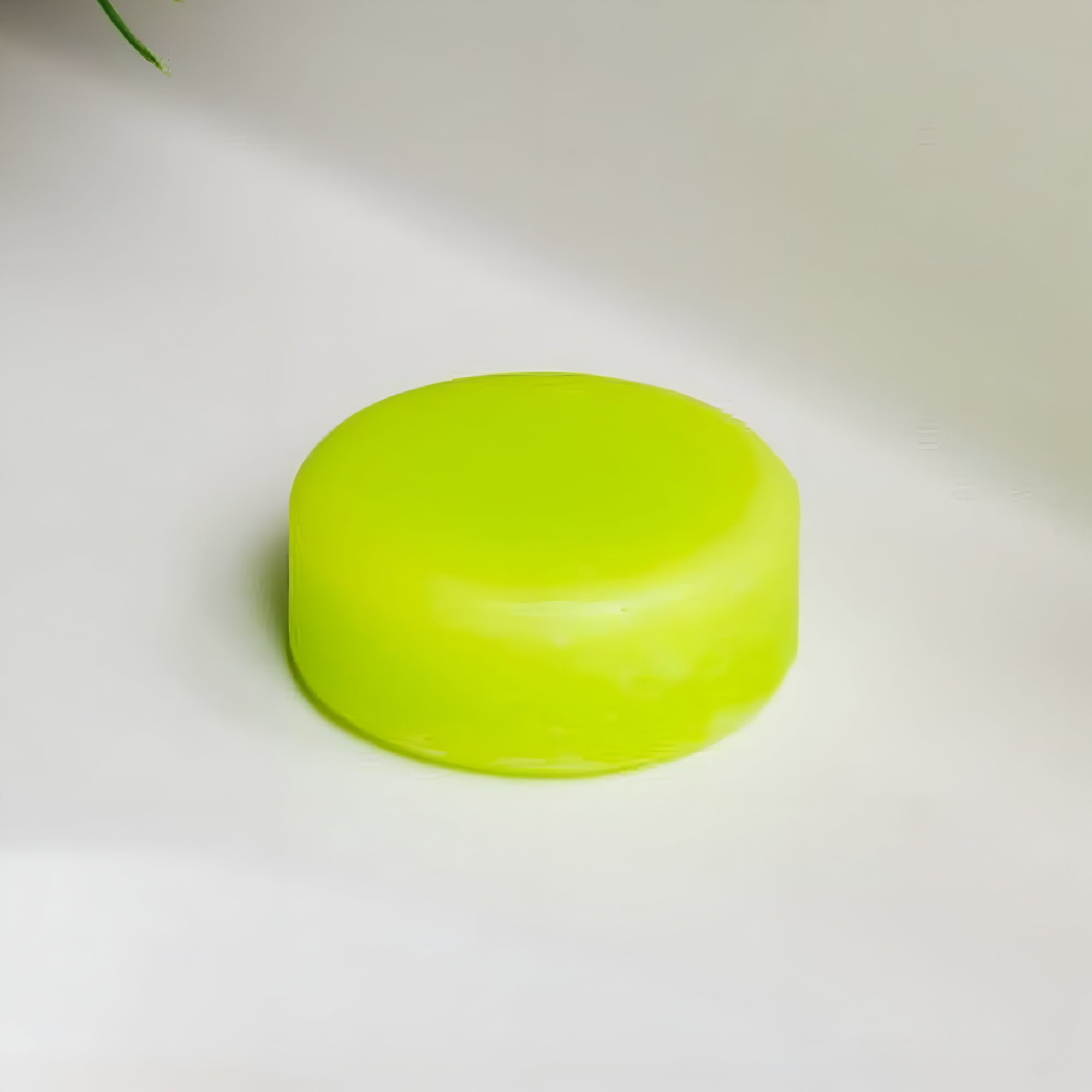 Conditioner Bar | Aloe - Bamboo Switch