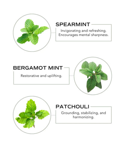 Essential Oil (Morning Calm) - Bamboo Switch