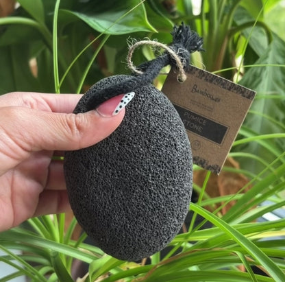 Pumice Stone